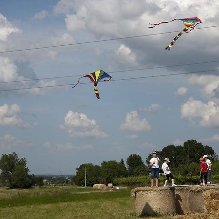 Agriturismo Bosco Del Fracasso Scandiano Eksteriør bilde