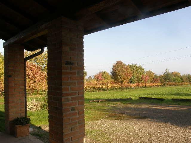 Agriturismo Bosco Del Fracasso Scandiano Eksteriør bilde